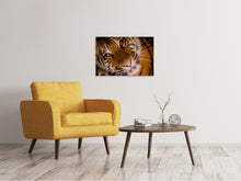 Laden Sie das Bild in den Galerie-Viewer, Leinwandbild Tiger Gesicht