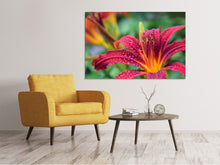 Laden Sie das Bild in den Galerie-Viewer, Leinwandbild Lilien Blüte in pink XL