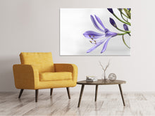 Laden Sie das Bild in den Galerie-Viewer, Leinwandbild Lilien Blüte in lila
