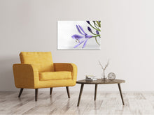 Laden Sie das Bild in den Galerie-Viewer, Leinwandbild Lilien Blüte in lila
