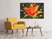 Laden Sie das Bild in den Galerie-Viewer, Leinwandbild Lilien Blüte in orange XL