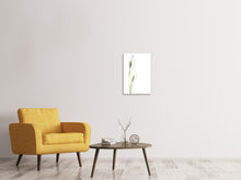 Laden Sie das Bild in den Galerie-Viewer, Leinwandbild Lilien Samenkapseln