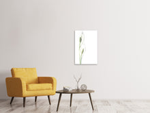 Laden Sie das Bild in den Galerie-Viewer, Leinwandbild Lilien Samenkapseln