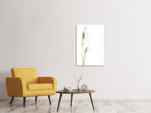 Laden Sie das Bild in den Galerie-Viewer, Leinwandbild Lilien Samenkapseln