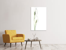 Laden Sie das Bild in den Galerie-Viewer, Leinwandbild Lilien Samenkapseln