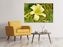 Laden Sie das Bild in den Galerie-Viewer, Leinwandbild Lilien Blüte in gelb