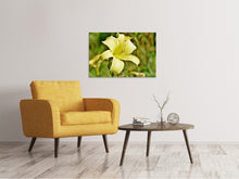 Laden Sie das Bild in den Galerie-Viewer, Leinwandbild Lilien Blüte in gelb
