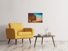 Laden Sie das Bild in den Galerie-Viewer, Leinwandbild Der Nussbaum