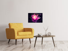 Laden Sie das Bild in den Galerie-Viewer, Leinwandbild Lilie im Lichterspiel