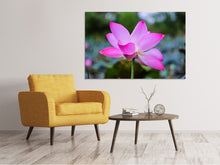 Laden Sie das Bild in den Galerie-Viewer, Leinwandbild Wunderschöne Lotus