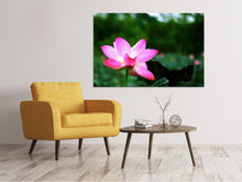 Laden Sie das Bild in den Galerie-Viewer, Leinwandbild Lotus in der Natur