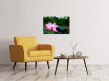 Laden Sie das Bild in den Galerie-Viewer, Leinwandbild Lotus in der Natur