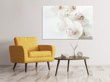 Laden Sie das Bild in den Galerie-Viewer, Leinwandbild Fantastische Orchideen
