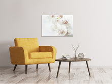 Laden Sie das Bild in den Galerie-Viewer, Leinwandbild Fantastische Orchideen