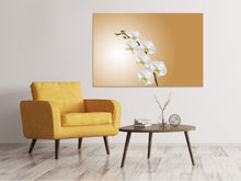 Laden Sie das Bild in den Galerie-Viewer, Leinwandbild Weisse Orchideen XL