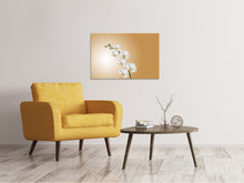 Laden Sie das Bild in den Galerie-Viewer, Leinwandbild Weisse Orchideen XL