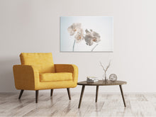 Laden Sie das Bild in den Galerie-Viewer, Leinwandbild Anmutige Orchideen