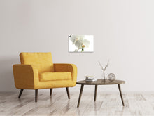 Laden Sie das Bild in den Galerie-Viewer, Leinwandbild Orchideen Blüte