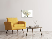 Laden Sie das Bild in den Galerie-Viewer, Leinwandbild Orchideen Blüte