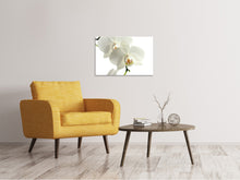 Laden Sie das Bild in den Galerie-Viewer, Leinwandbild Orchideen Blüte