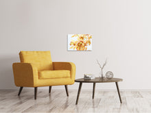 Laden Sie das Bild in den Galerie-Viewer, Leinwandbild Gelbe Orchidee