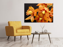 Laden Sie das Bild in den Galerie-Viewer, Leinwandbild Orchideen mit orangen Blüten