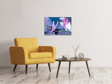 Laden Sie das Bild in den Galerie-Viewer, Leinwandbild Hot Stones