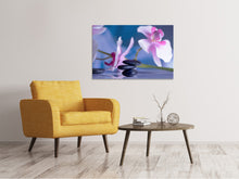 Laden Sie das Bild in den Galerie-Viewer, Leinwandbild Hot Stones
