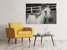 Laden Sie das Bild in den Galerie-Viewer, Leinwandbild Da steht ein Pferd