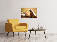 Laden Sie das Bild in den Galerie-Viewer, Leinwandbild Das schlafende Pferd