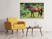 Laden Sie das Bild in den Galerie-Viewer, Leinwandbild Kräftiges Pferd