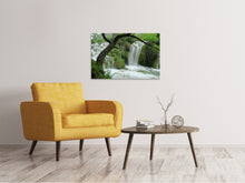 Laden Sie das Bild in den Galerie-Viewer, Leinwandbild Im Nationalpark