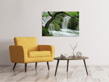 Laden Sie das Bild in den Galerie-Viewer, Leinwandbild Im Nationalpark