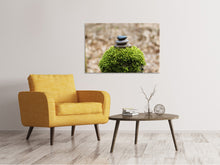 Laden Sie das Bild in den Galerie-Viewer, Leinwandbild Steinstapel auf Pflanze