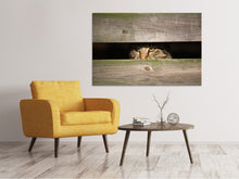 Laden Sie das Bild in den Galerie-Viewer, Leinwandbild Katze im Versteck