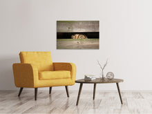 Laden Sie das Bild in den Galerie-Viewer, Leinwandbild Katze im Versteck