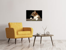 Laden Sie das Bild in den Galerie-Viewer, Leinwandbild XL Katze