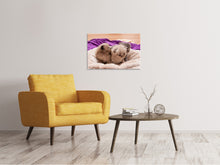 Laden Sie das Bild in den Galerie-Viewer, Leinwandbild Kitten Trio zum Verlieben