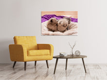 Laden Sie das Bild in den Galerie-Viewer, Leinwandbild Kitten Trio zum Verlieben