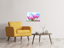 Laden Sie das Bild in den Galerie-Viewer, Leinwandbild Tulpen in der Natur
