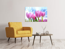 Laden Sie das Bild in den Galerie-Viewer, Leinwandbild Tulpen in der Natur