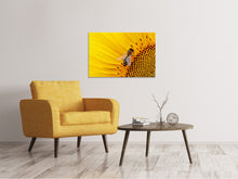 Laden Sie das Bild in den Galerie-Viewer, Leinwandbild Biene auf der Sonnenblume
