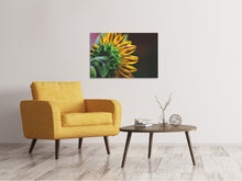 Laden Sie das Bild in den Galerie-Viewer, Leinwandbild Sonnenblume Close up