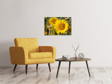 Laden Sie das Bild in den Galerie-Viewer, Leinwandbild Bienen bei der Arbeit