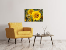 Laden Sie das Bild in den Galerie-Viewer, Leinwandbild Bienen bei der Arbeit
