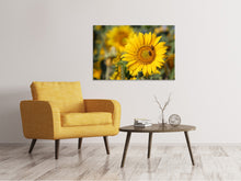 Laden Sie das Bild in den Galerie-Viewer, Leinwandbild Bienen bei der Arbeit