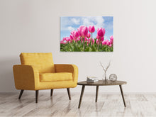 Laden Sie das Bild in den Galerie-Viewer, Leinwandbild Tulpenfeld in rosa