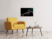 Laden Sie das Bild in den Galerie-Viewer, Leinwandbild Bunter Rauch
