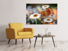 Laden Sie das Bild in den Galerie-Viewer, Leinwandbild Margeriten XL
