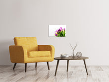 Laden Sie das Bild in den Galerie-Viewer, Leinwandbild Tulpen in XL